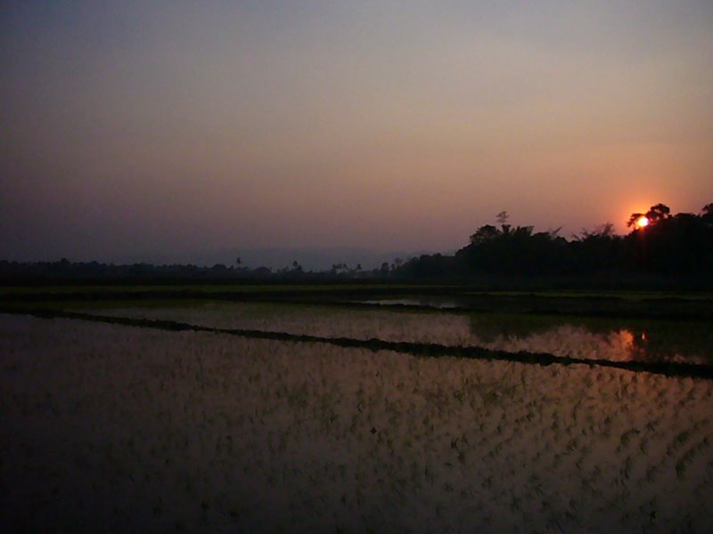 Travel - Myanmar - Inle Lake - First Boat Trip - The boat-drivers village - Rice and Cigars